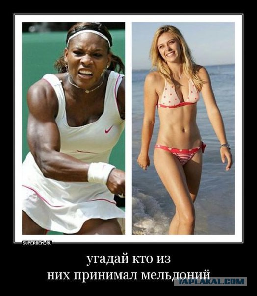 WADA итоговый отчет - призыв отстранить всех российских спортсменов