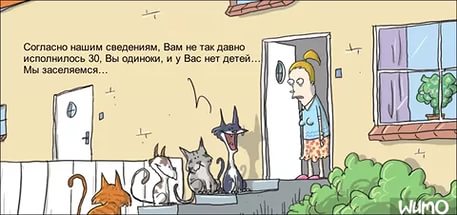 Соцсети - и смех и грех
