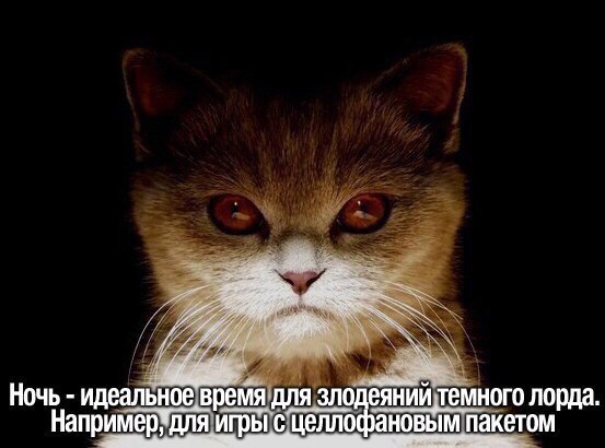 Есть смешные (картинки)