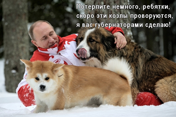 Когда у власти профессионалы