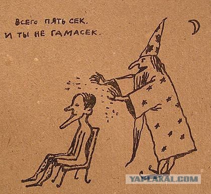 Эта кошка все время поднимает лапы вверх, и никто не знает — почему