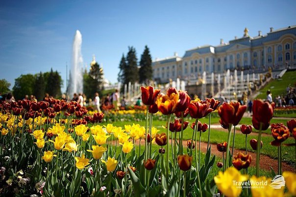 Картинки для отдыха глаз