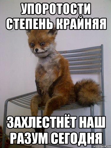 Упоротая пятиминутка