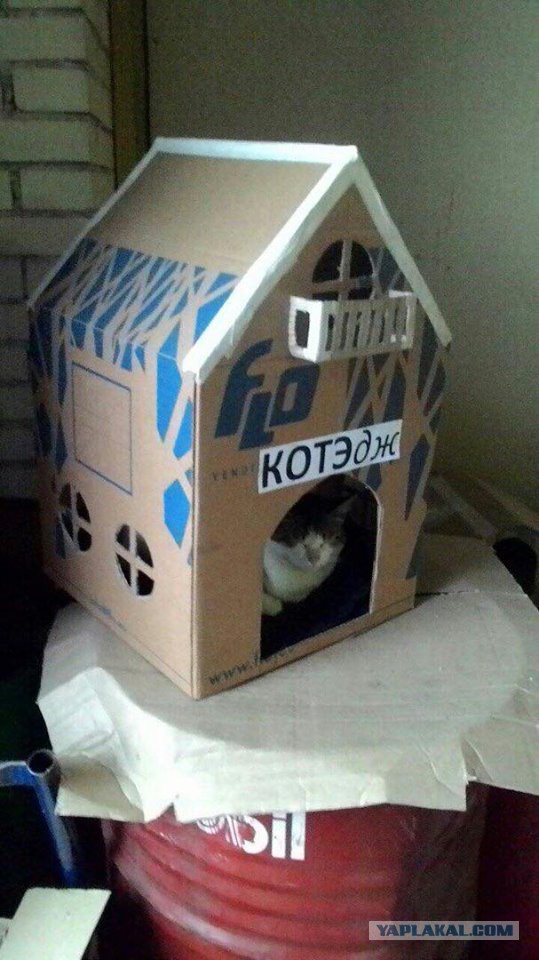 Юмор не для всех