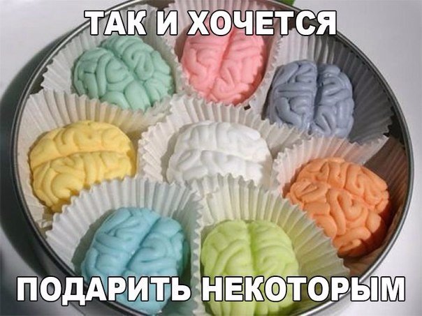 Весёлые картинки 07.12.16