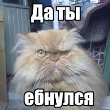 Мода, прекрати, что ты делаешь