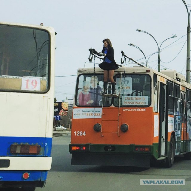 Картинки ИЗ сети