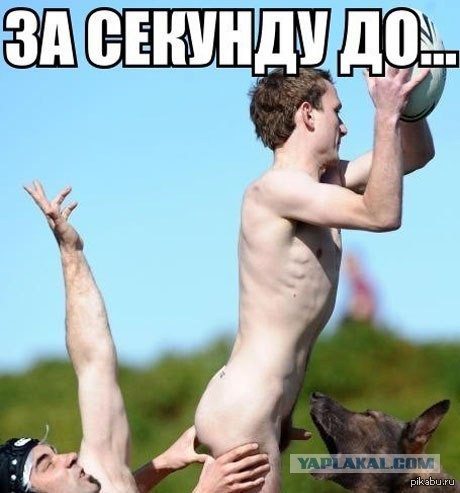 Удачные фото, сделанные в подходящий момент