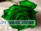 Мент поганый
