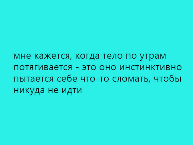 Будет чего-то из сетей