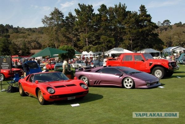 Concours D'elegance