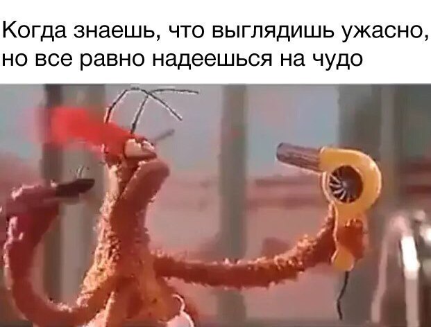 Немного веселых картинок для пятничного настроения
