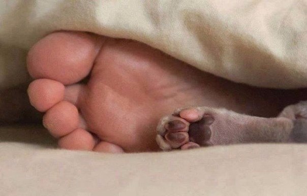 Немного милоты