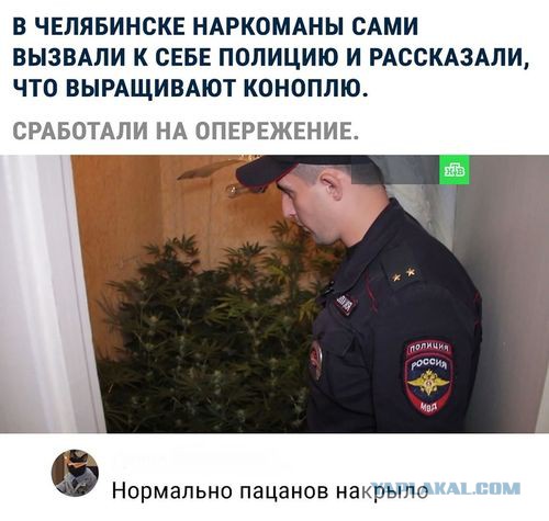 Подборка интересных и веселых картинок 23.12.18