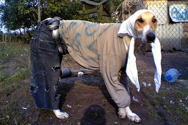 Пост суровой зимы