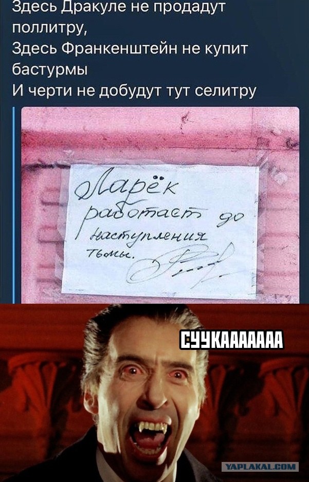 Немного картинок для настроения 19.10.19