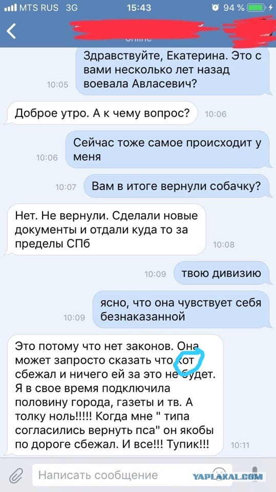 Помогите вернуть кота! Приют "Преданное сердце" украл кота и не отдает!