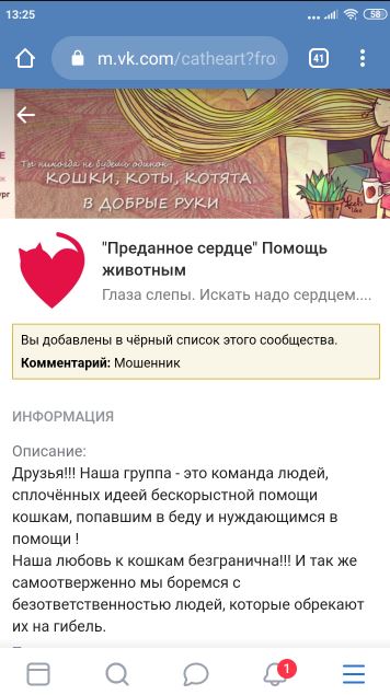 Помогите вернуть кота! Приют "Преданное сердце" украл кота и не отдает!-2