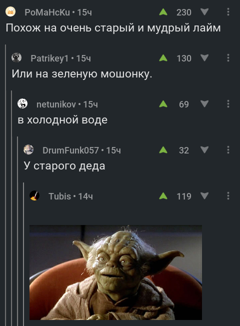 Как выглядит бергамот