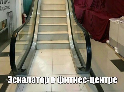 Картинки и мемы для настроения