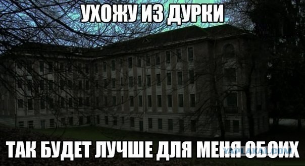 Психически нестабильных картинок пост - 5