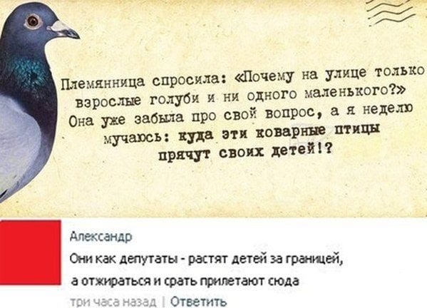 Немного картинок для настроения 28.01.20