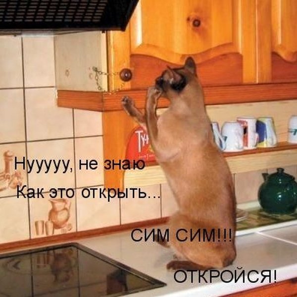 Чуток картинок.  Вечерние