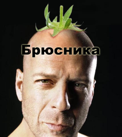 Фотожаба: Лето, фрукты, генетика!