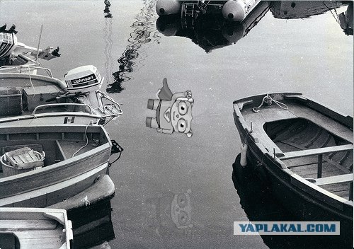 Фотожаба: Полет Барсика