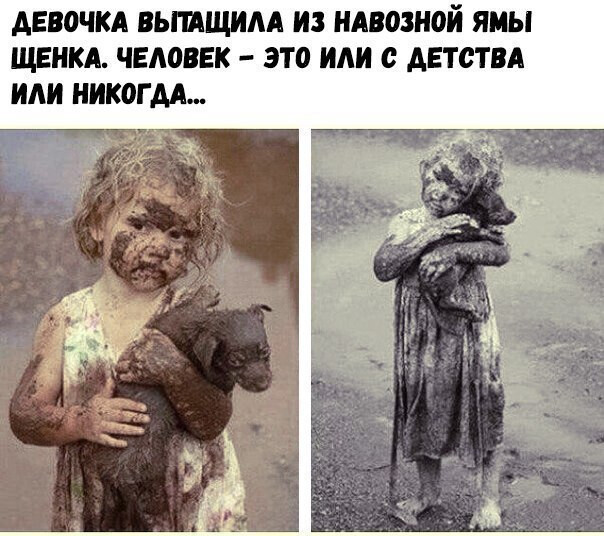 Фотки и картинки: юморные и красивые, забавные и милые 02.11.20