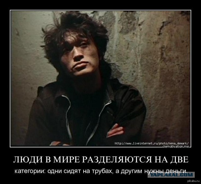 Соловьёв, ты дурак?