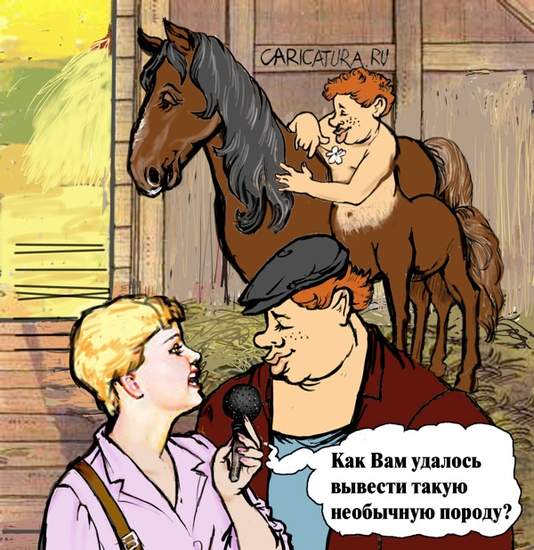 Скандал на старейшей эстонской конюшне: зоофил годами насиловал лошадей и был пойман во время акта
