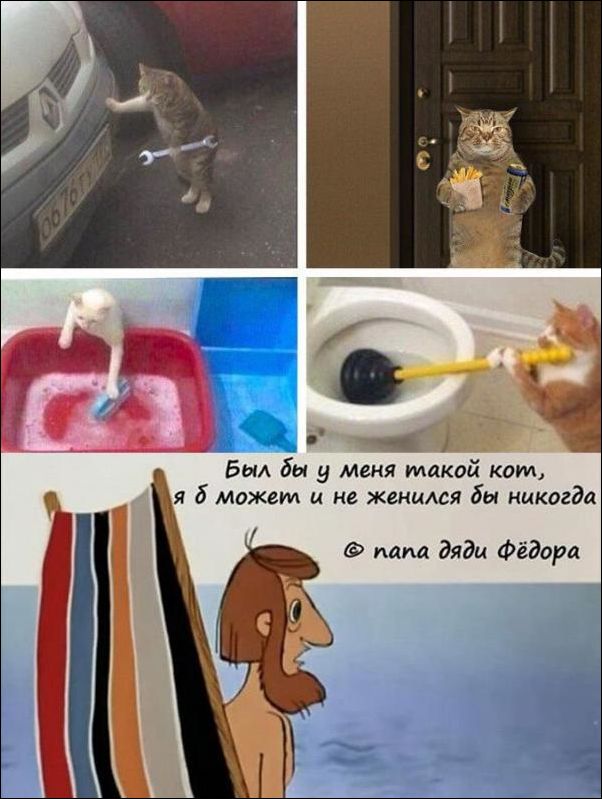 Мемасики от Димасика - Часть 1