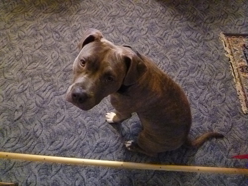 Можно я с краешку прилягу?