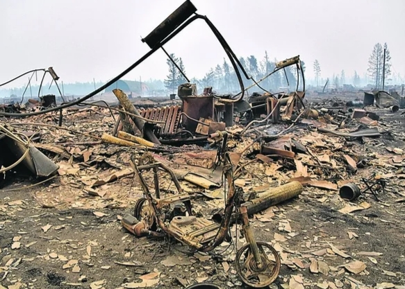 Российские леса постоянно горят, но их биомасса рекордно выросла. Как так вышло и что из этого следует?