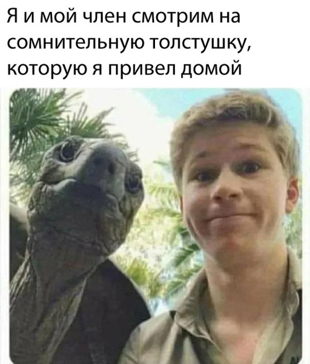 Весёлый полтишок 4.09