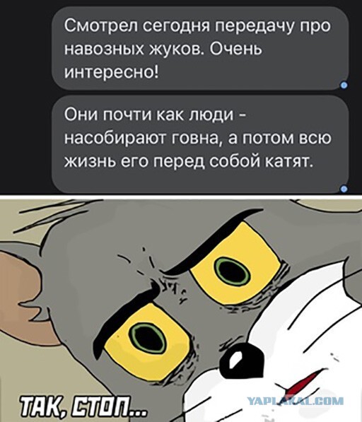 Обидели настоящего патриота