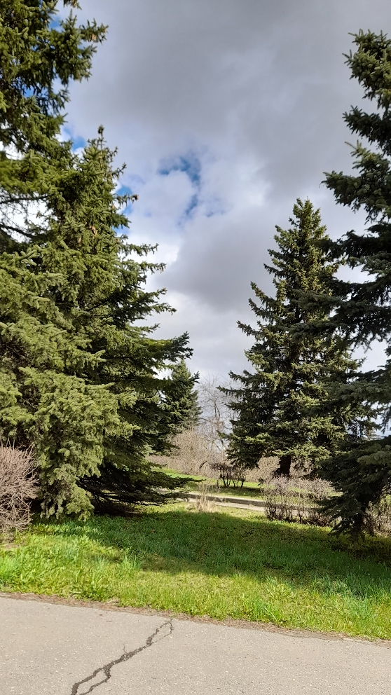 Я не самая лучшая представительница женского пола