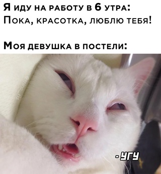 Картинки и мемы для настроения - 14