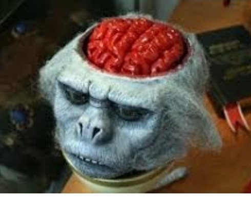 Десять самых отвратительных продуктов, которые едят люди ‒ гастрономический мазохизм