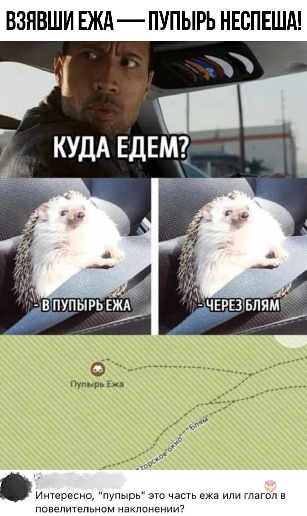 Что делать в Перми? Съесть посикунчиков, увидеть реальных пацанов, а еще соленые уши