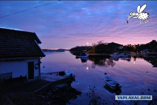 Норвегия глазами Ёлкина