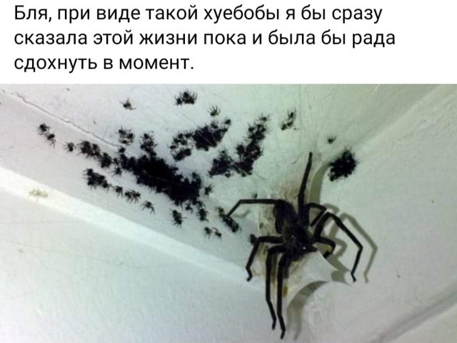 Картинки и мемы для настроения. Выходные близко...