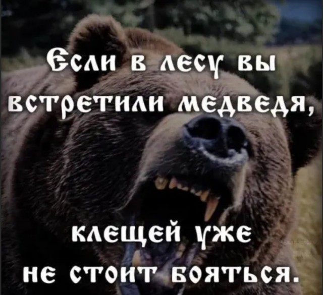 Так себе картинки 19.09.22