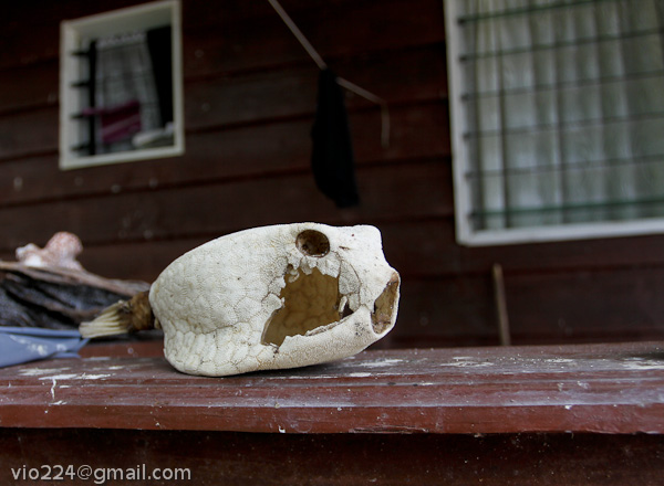 Сейшеллы октябрь 2012