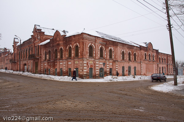 Елец зимний