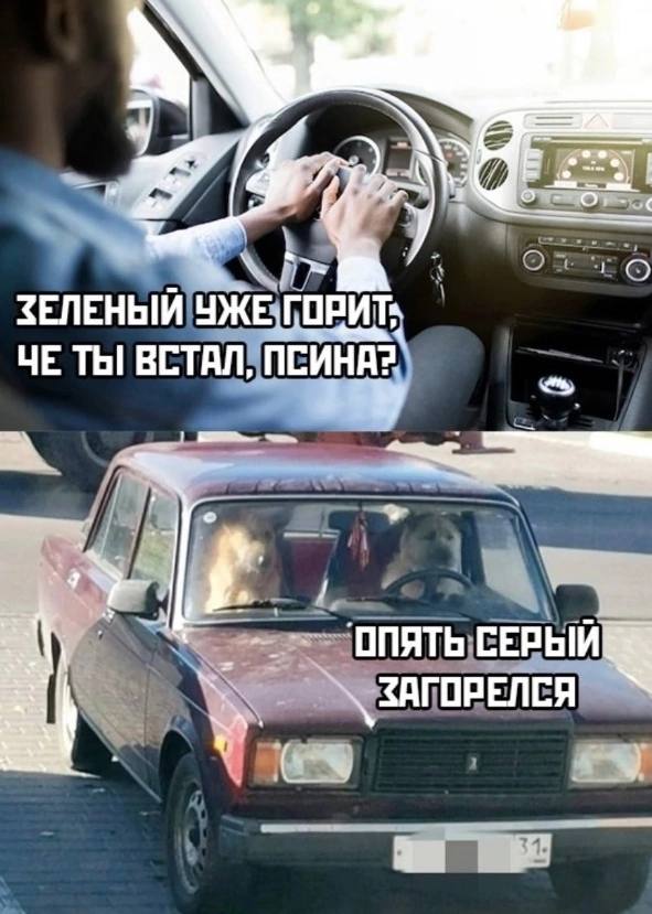 Немного мемчиков. Для взрослых. Часть 22