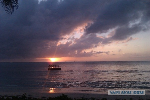 AFRICA - (Эфиопия,Кения,Танзация) 4-16 ноября 2011