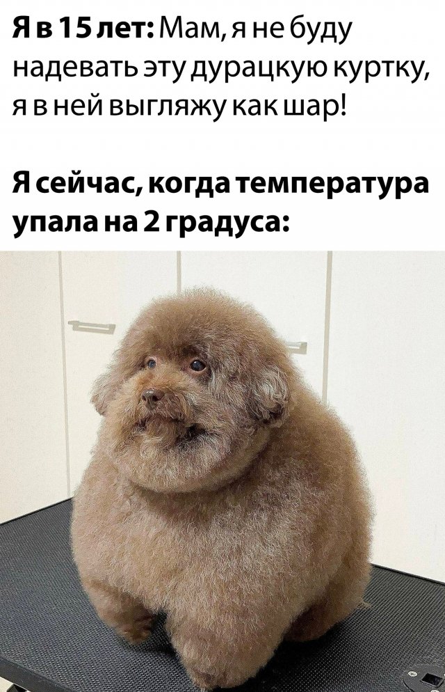 Немного картинок для настроения - 137