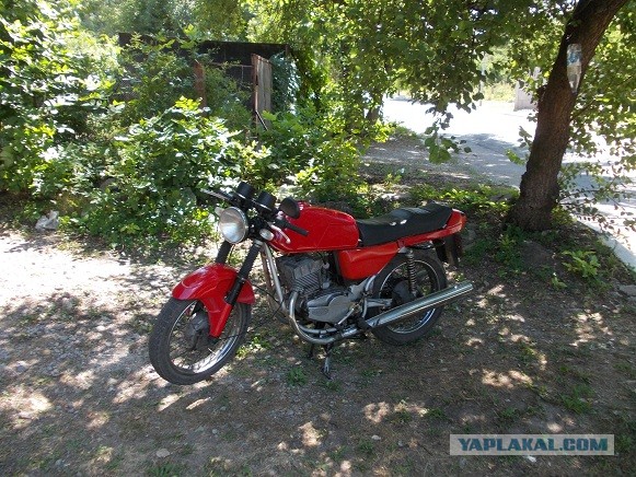 Красавица ЯВА